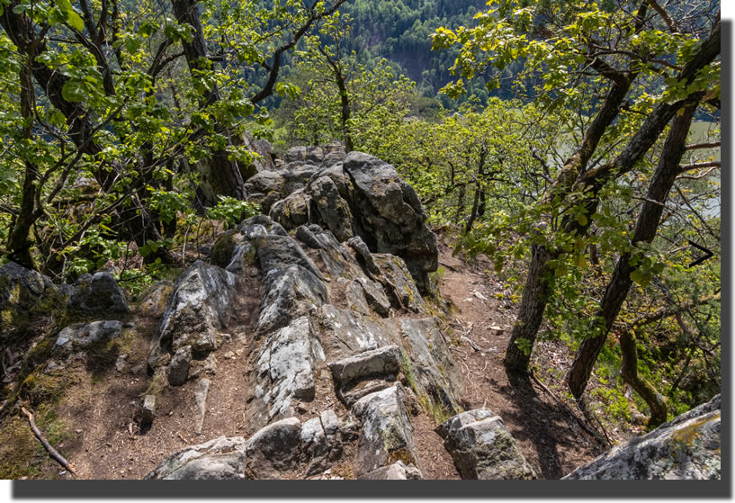 Steiner Felsen