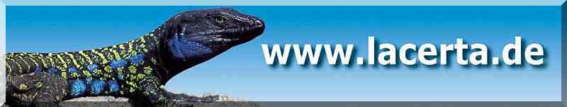 www.lacerta.de